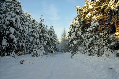 距离完美再近一步 《终极杀戮》更新档加入第七层
