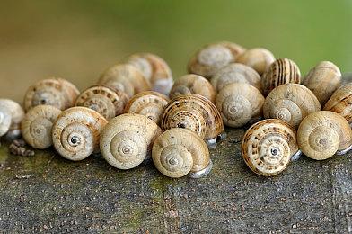 《消逝的光芒2》下次更新将让恐怖感大增 玩家要吓尿